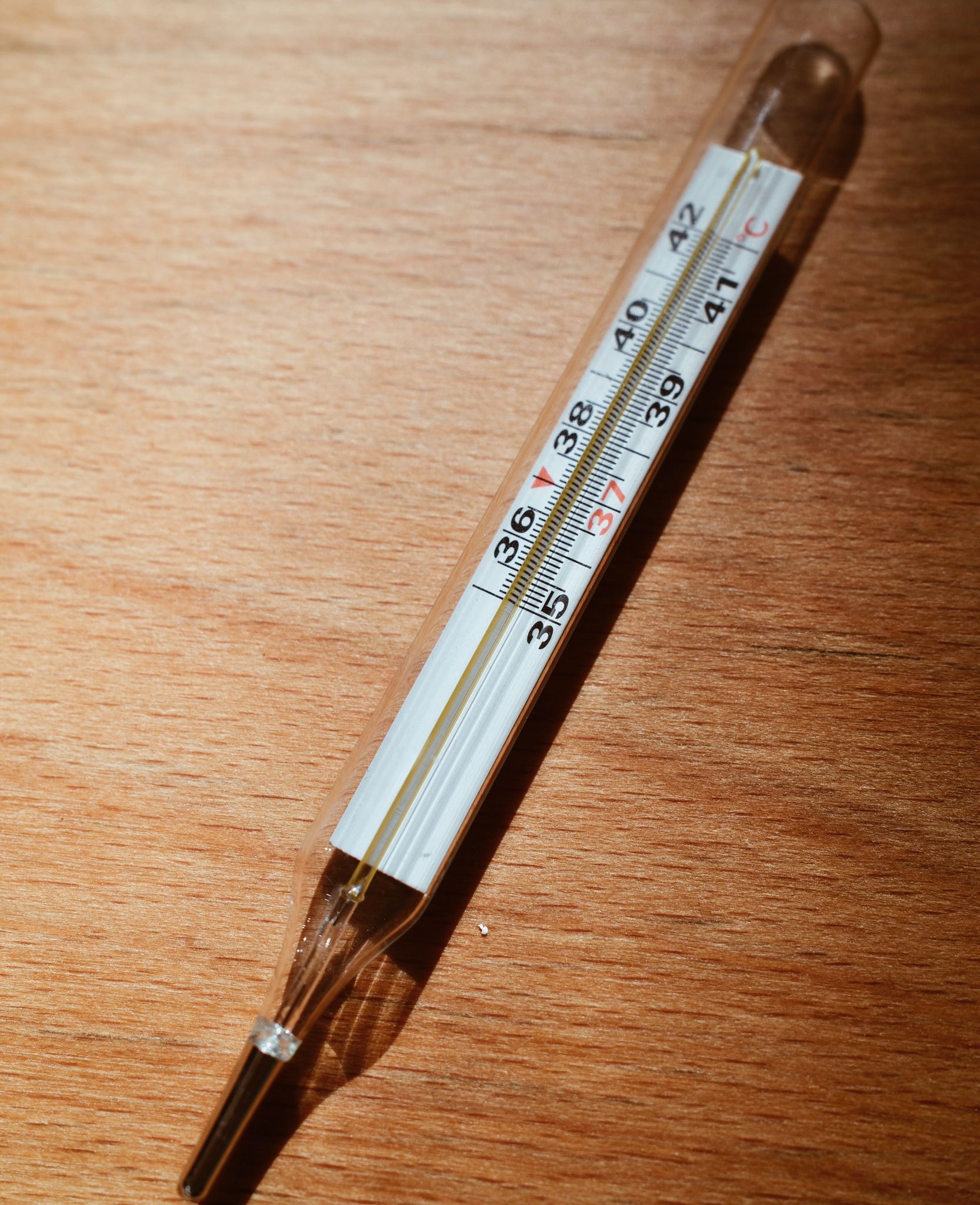 Akutsprechstunde WEIDENBORNpraxis